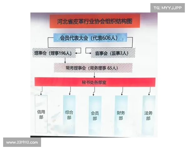 世界杯用球演变历程探析 从传统皮革到现代科技的创新之路 世界杯用球演变历程探析 从传统皮革到现代科技的创新之路